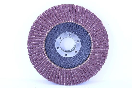 Flap Grinding Discs │ brown │ Ø 125 mm │ Mixpack (5 x grain 40/60/80/120 each) │ Standard │ Fan Discs │ Sanding Sheets