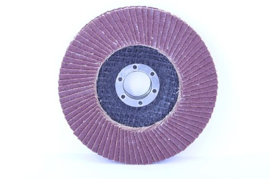 Flap Grinding Discs │ brown │ Ø 125 mm │ Mixpack (5 x grain 40/60/80/120 each) │ Standard │ Fan Discs │ Sanding Sheets